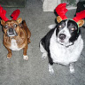 Meet your Posher, Leah